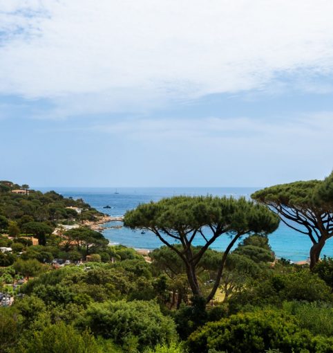 MAISON DANS LE SUD DE LA FRANCE